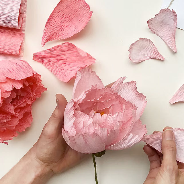 Bergin & Bath Paper Flower Kit