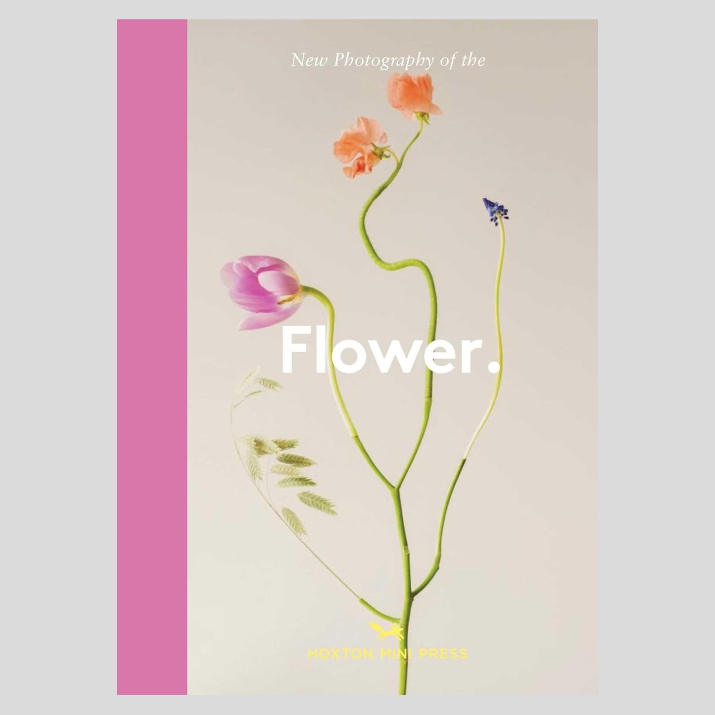 New Photography of the Flower