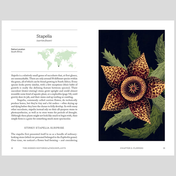 The Hidden Histories of House Plants Kettle's Yard