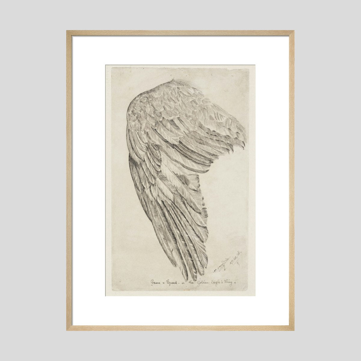 Henri Gaudier-Brzeska Grace and Speed or The Golden Eagle's Wing Print
