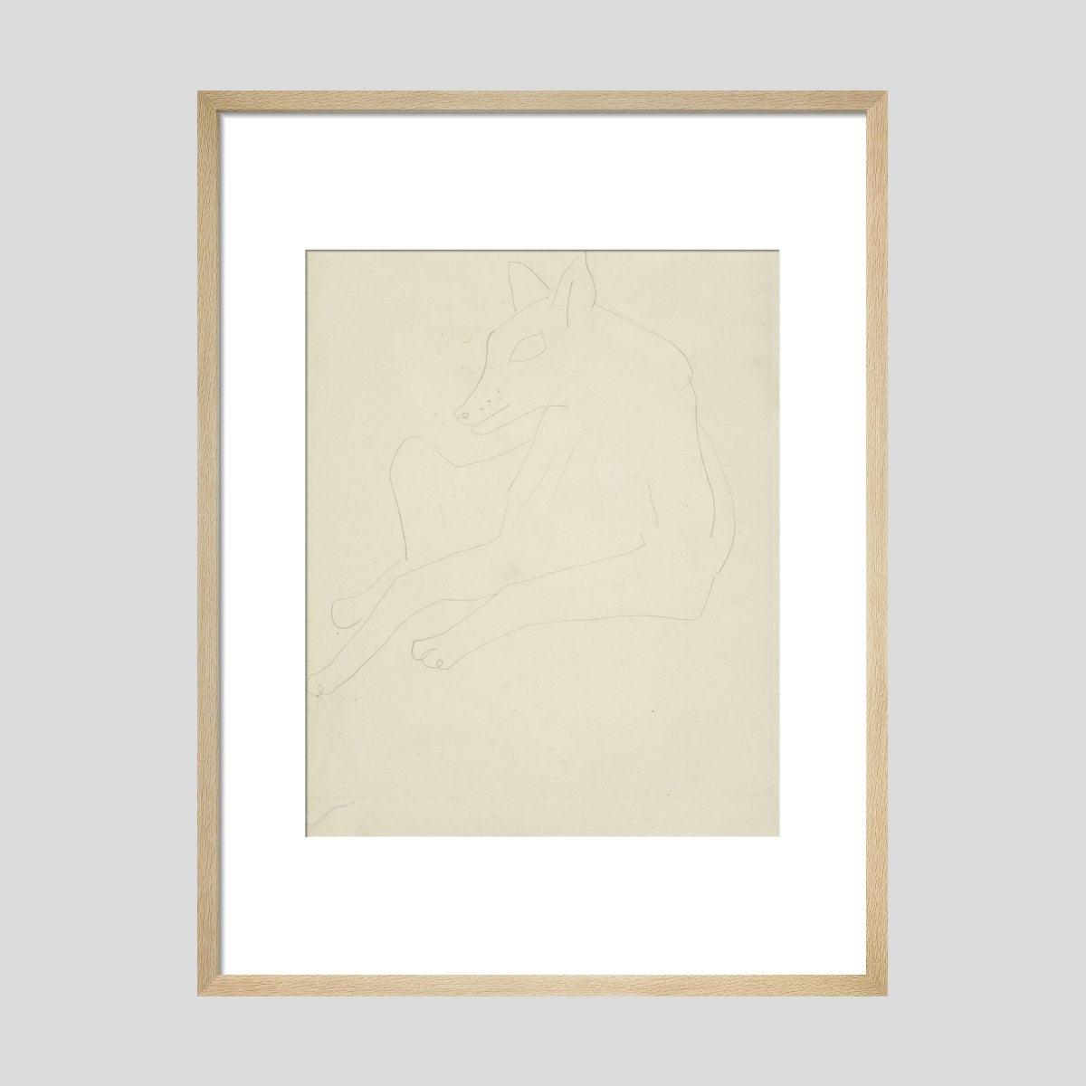 David Jones Animal Print