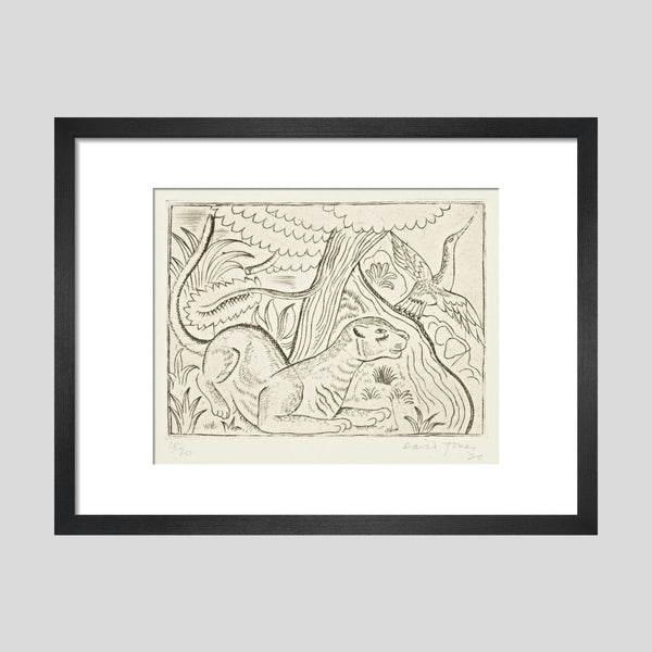 David Jones Puma Print Kettle's Yard