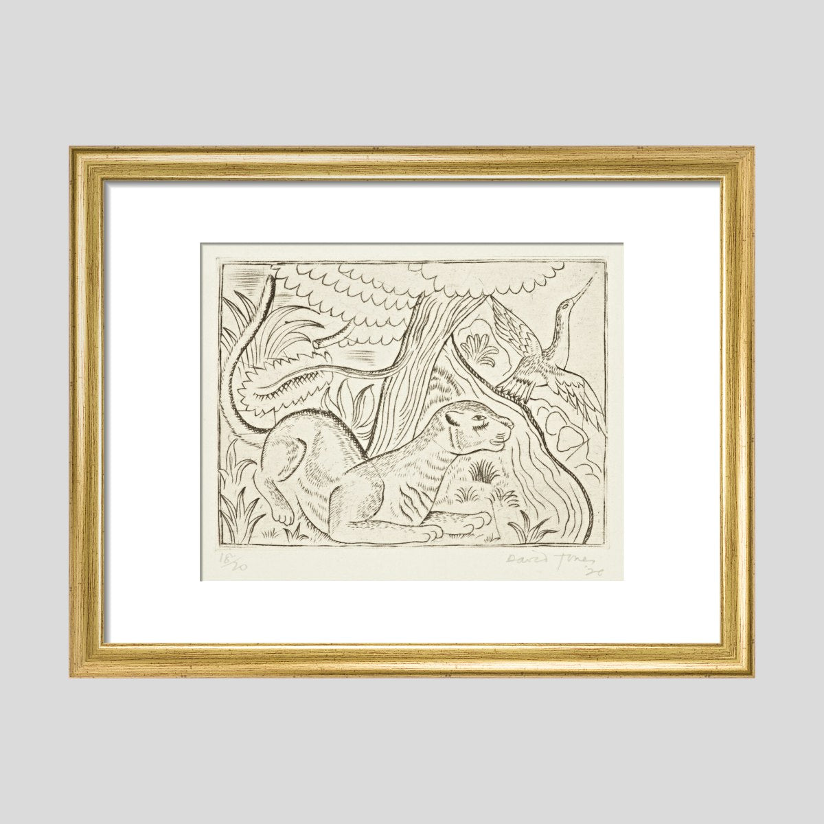 David Jones Puma Print