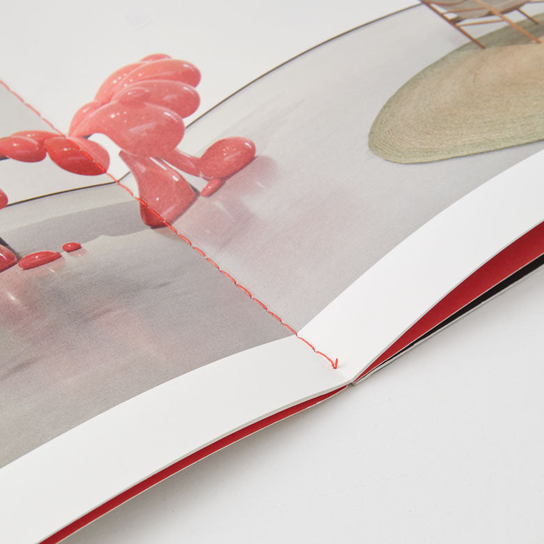 Kettles Yard Anthea Hamilton Reimagines Kettle's Yard 5