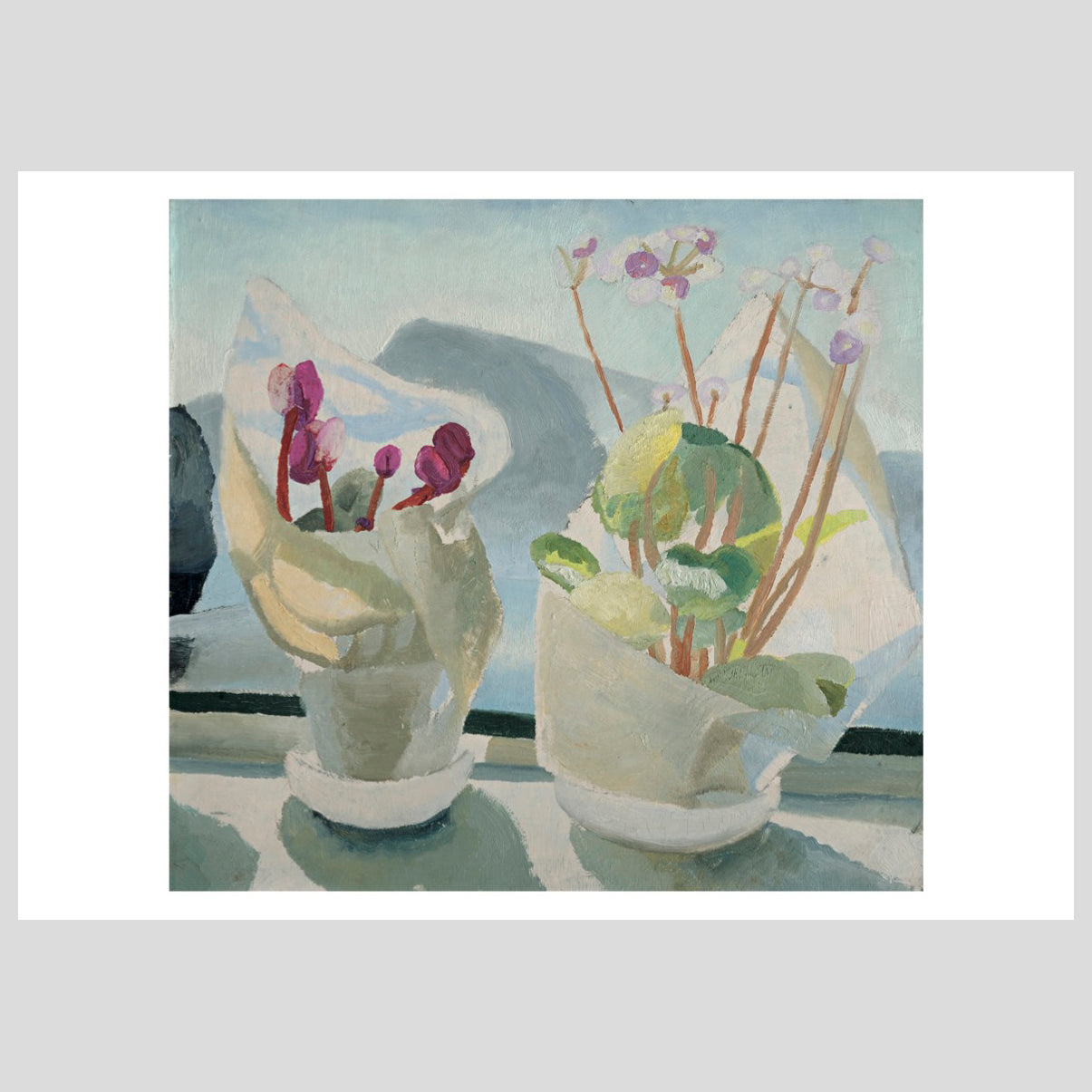Langham Press Postcard Winifred Nicholson Cyclamen and Primula 1