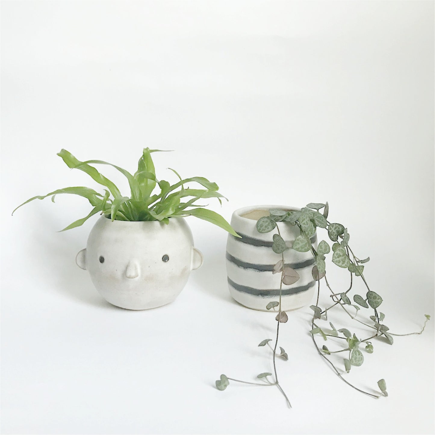 The Very Less The Very Less Theo 2-in-1 Planter 3