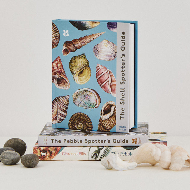 Books for beachcombers