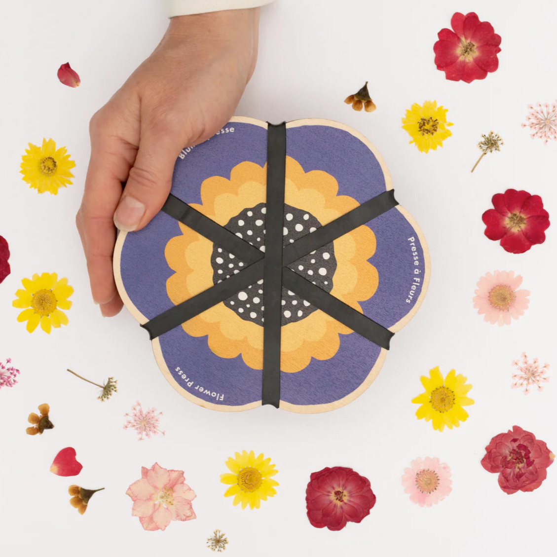 Wooden Flower Press by Studio Wald