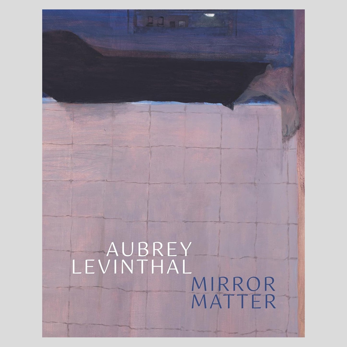 Aubrey Levinthal: Mirror Matter