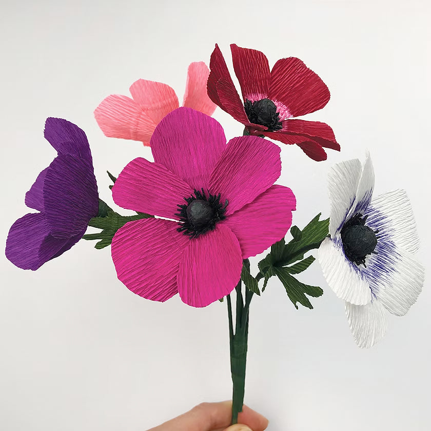 Bergin & Bath Paper Flower Kit