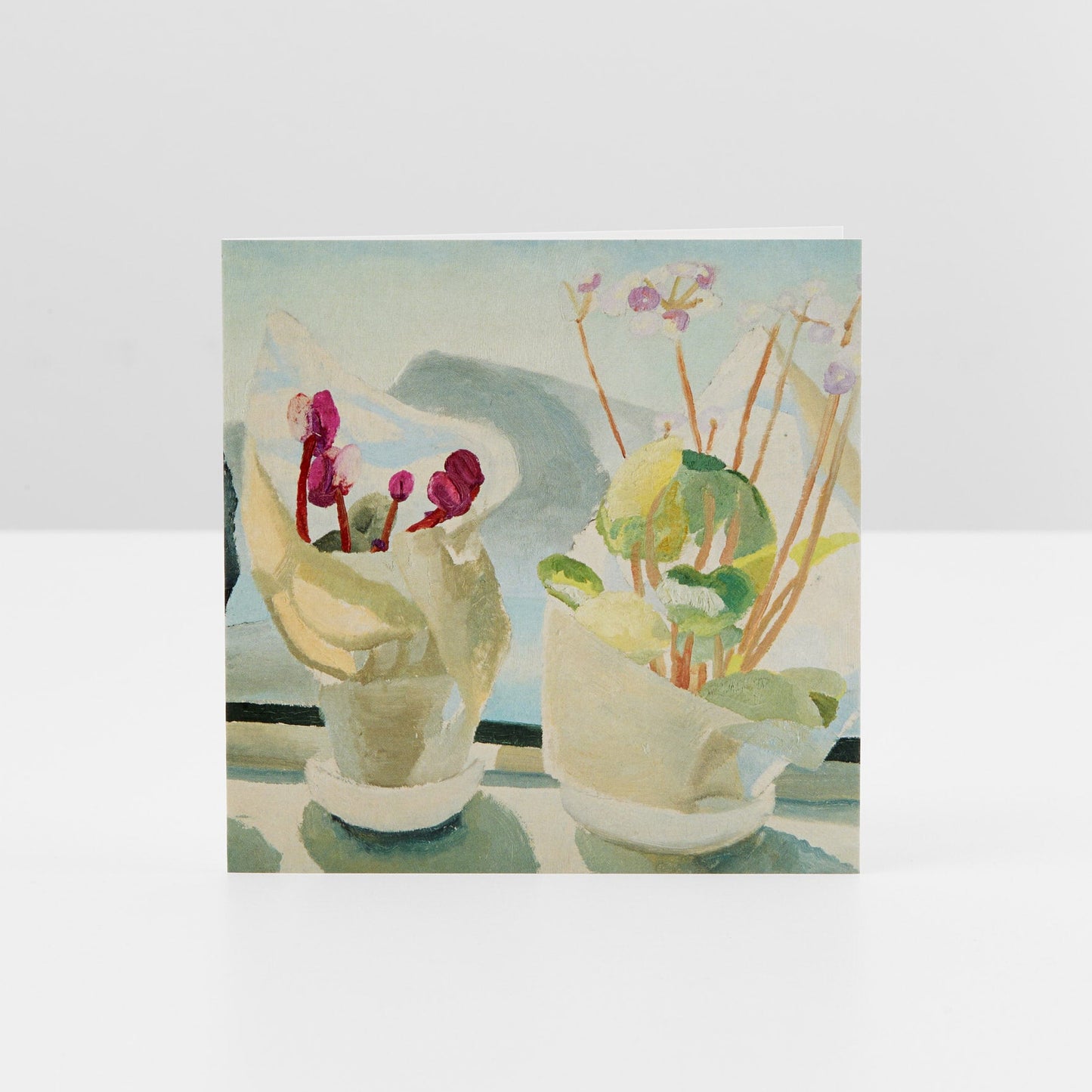 Winifred Nicholson Cyclamen & Primula Greetings Cards Set of 8