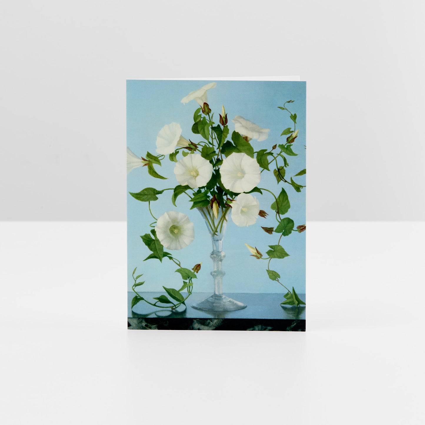 Gluck Convulvulus Pack of 6 Greetings Cards
