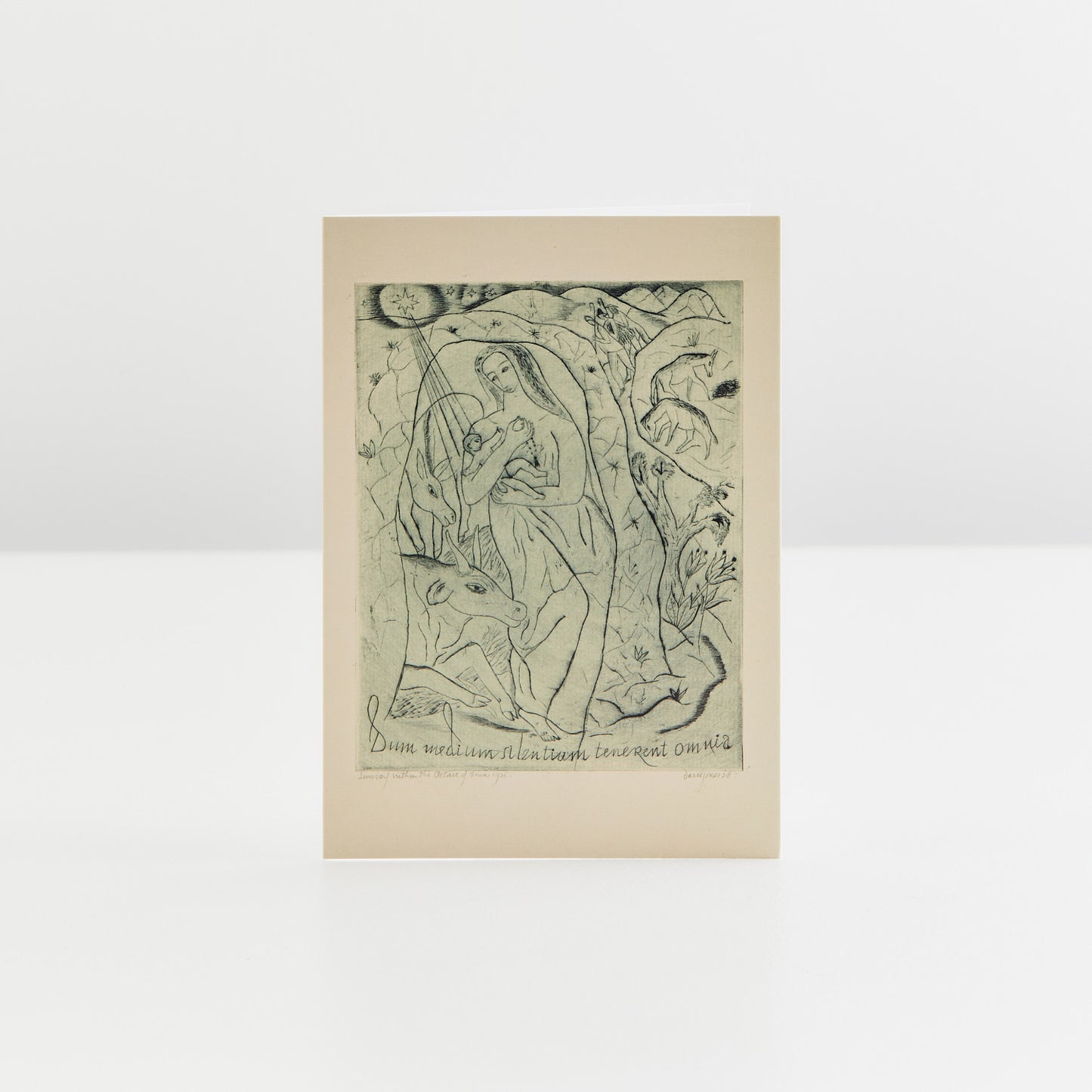 David Jones Nativity Christmas Cards Pack of 6