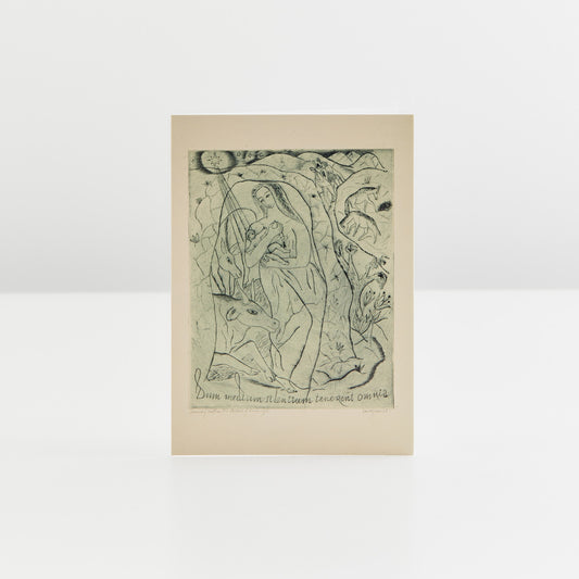 David Jones Nativity Christmas Cards Pack of 6