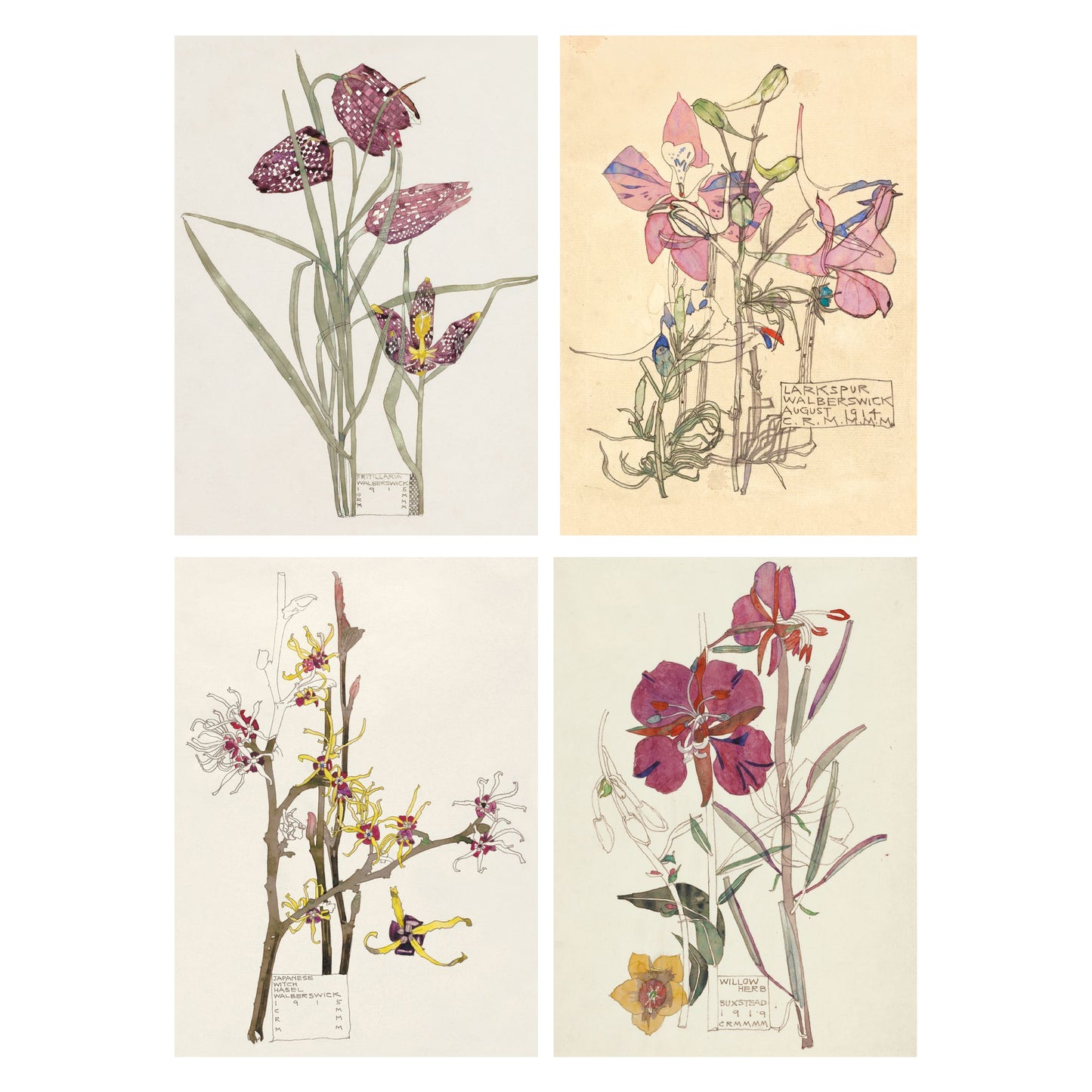 Charles Rennie Mackintosh Flowers Greetings Card Pack