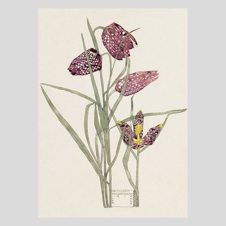 Charles Rennie Mackintosh Fritillaria Greetings Card