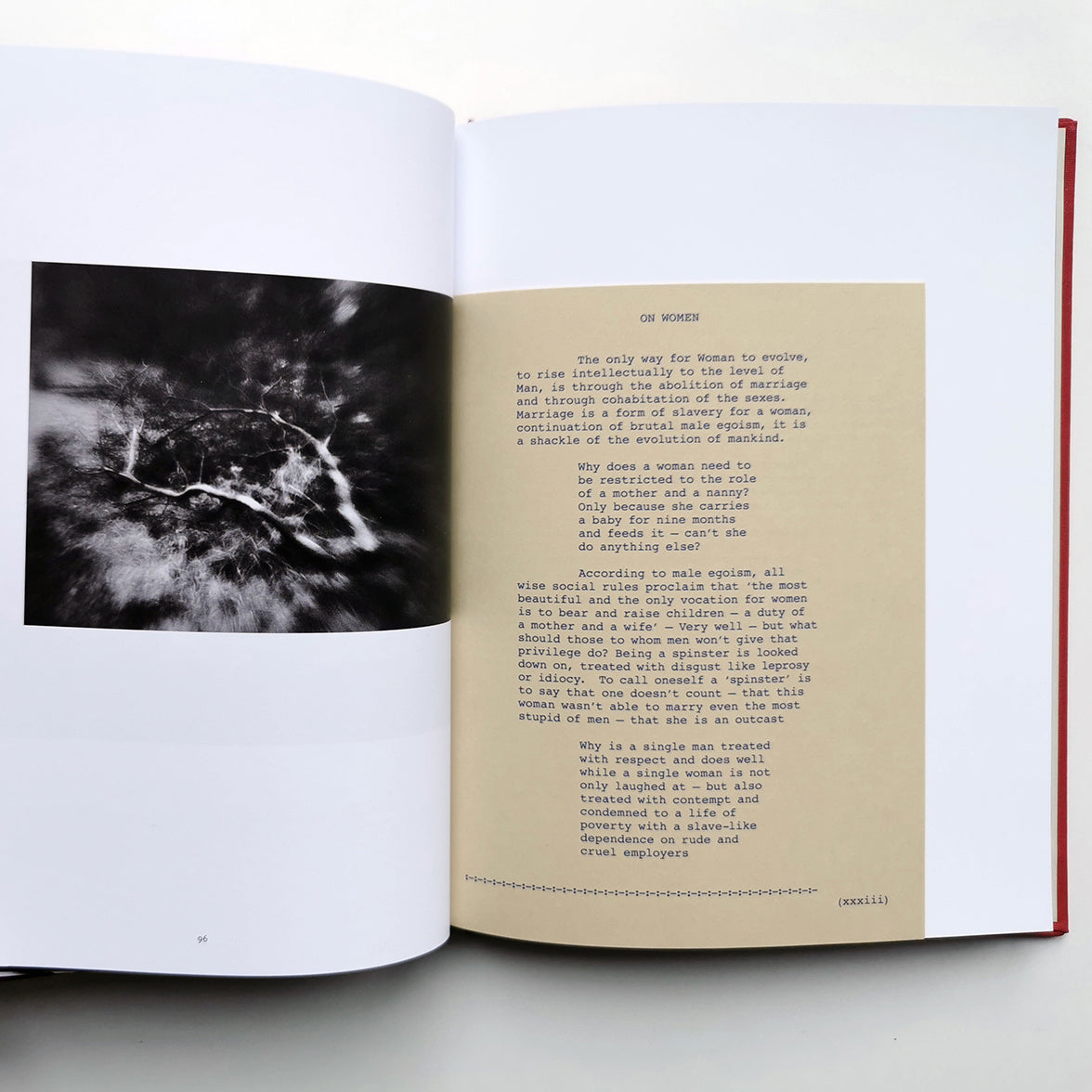 I ALSO FIGHT WINDMILLS A Literary Photobook by Ania Ready