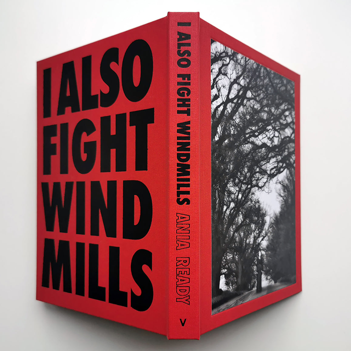 I ALSO FIGHT WINDMILLS A Literary Photobook by Ania Ready