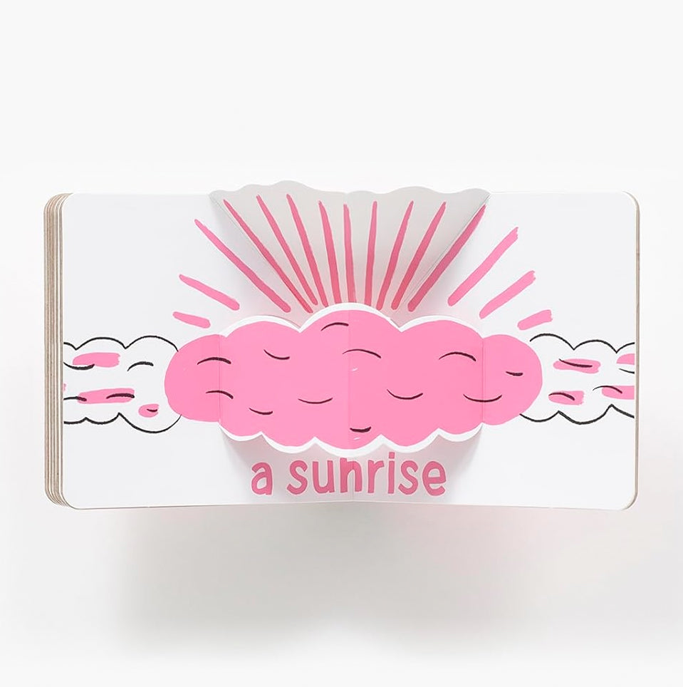 Pink Pop -  A Pop-Up Board Book