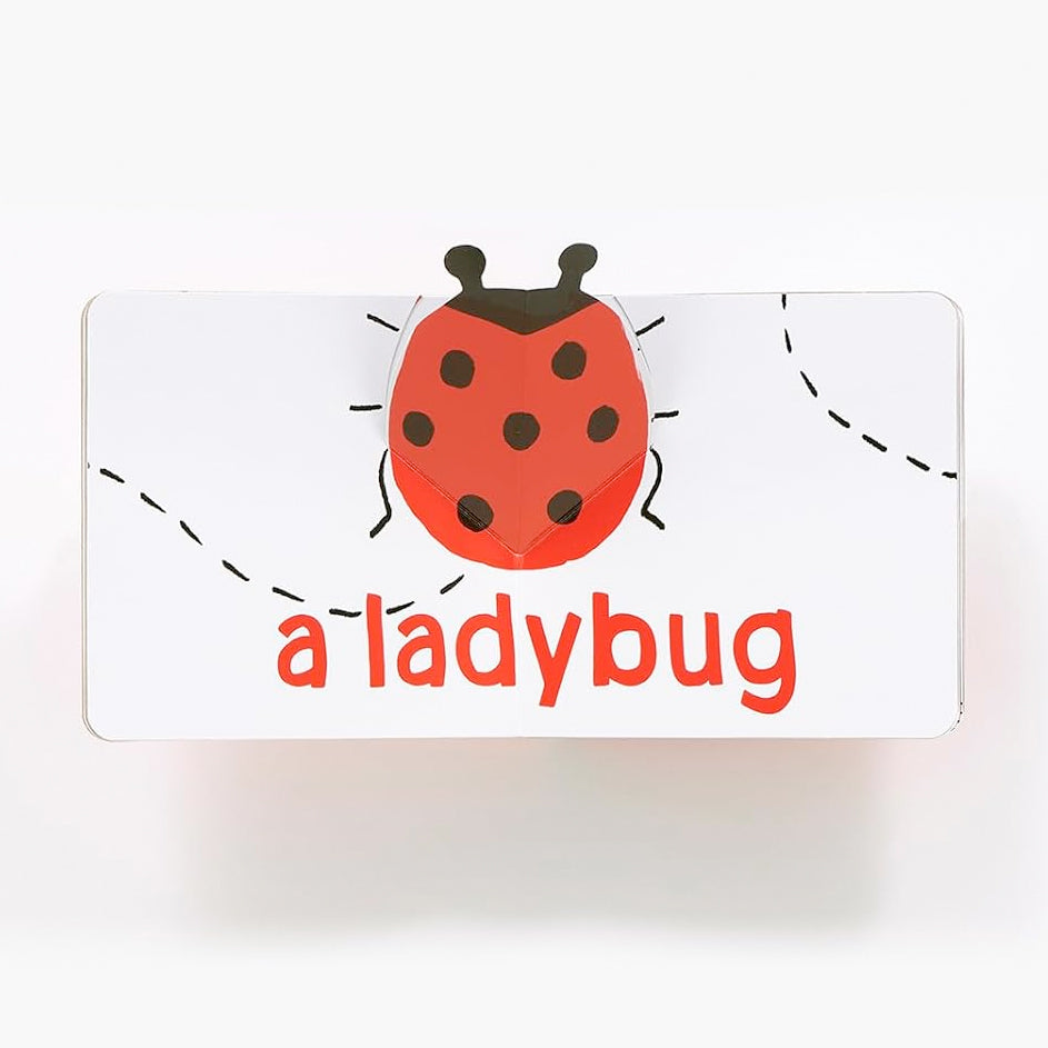 Red Pop - A Pop-up Board Book