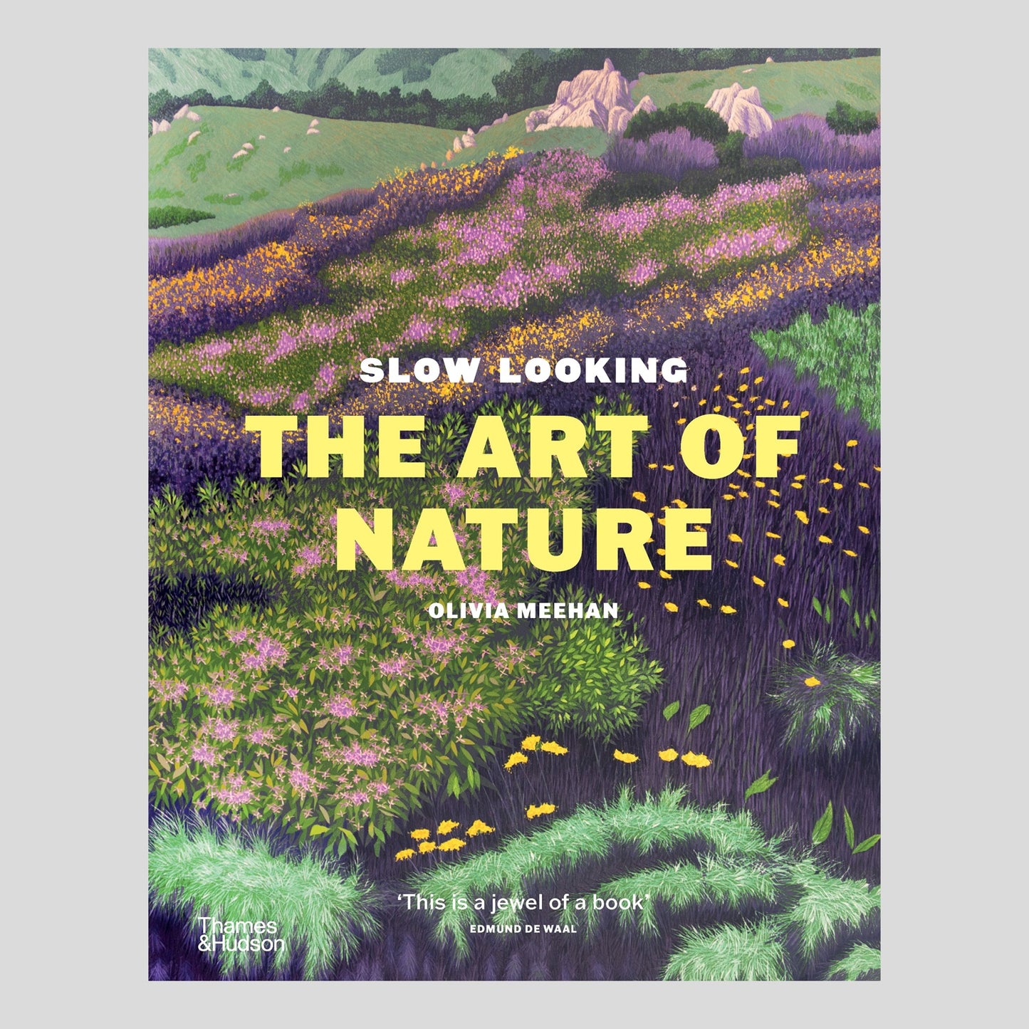 Slow Looking: The Art of Nature