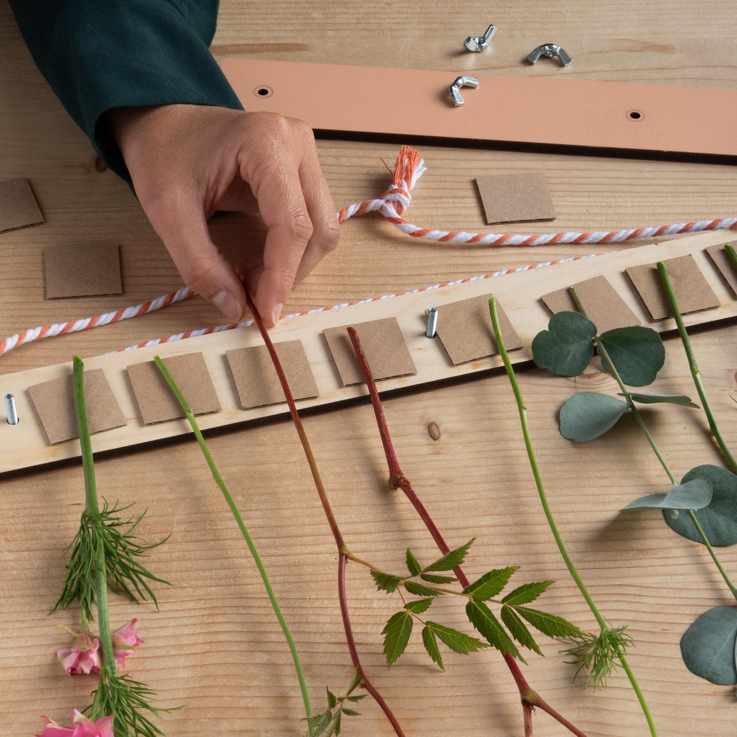 Studio Wald Flower Drying Kit