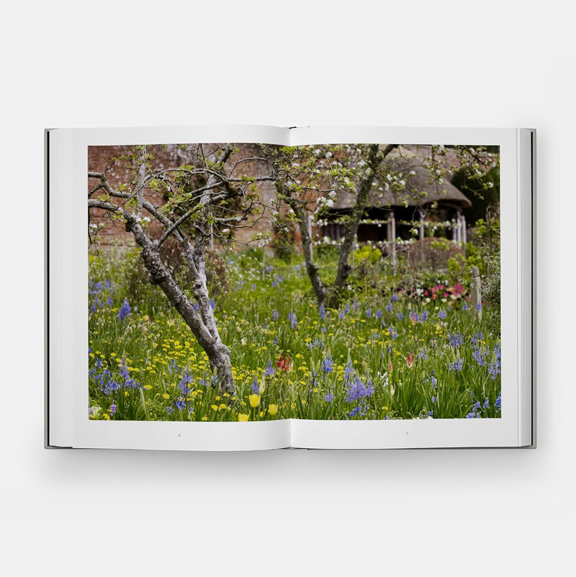 The Tulip Garden