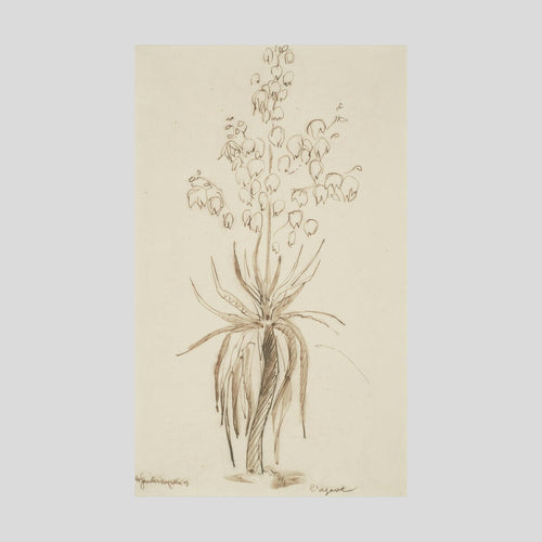 Henri Gaudier-Brzeska L'agave Print