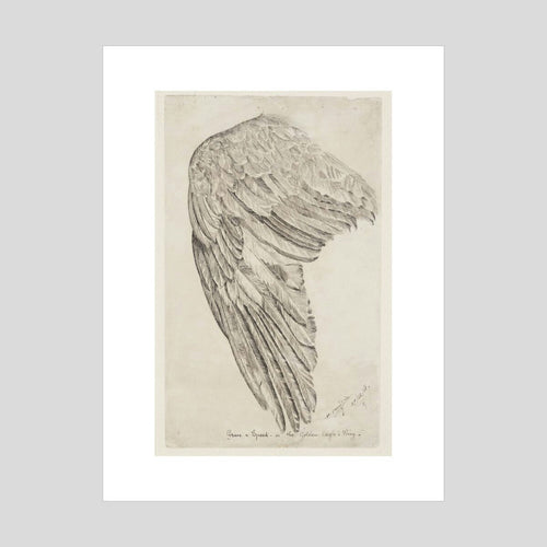 Henri Gaudier-Brzeska Grace and Speed or The Golden Eagle's Wing Print