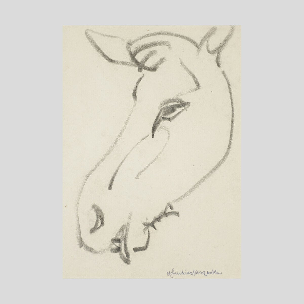 Henri Gaudier-Brzeska Head of a horse Print