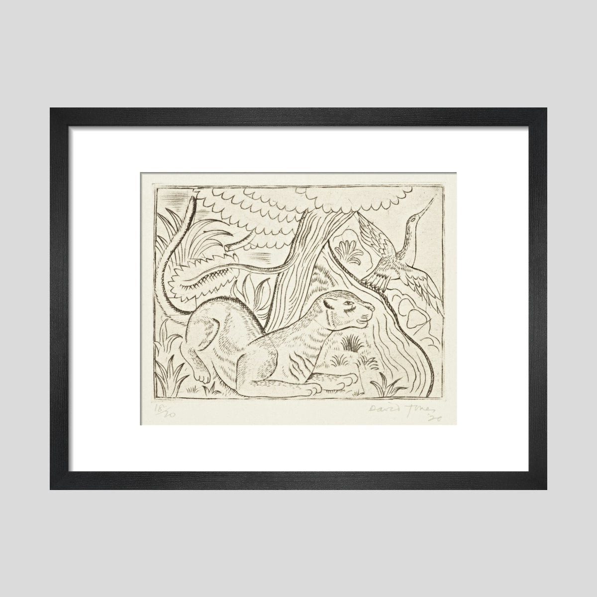 David Jones Puma Print