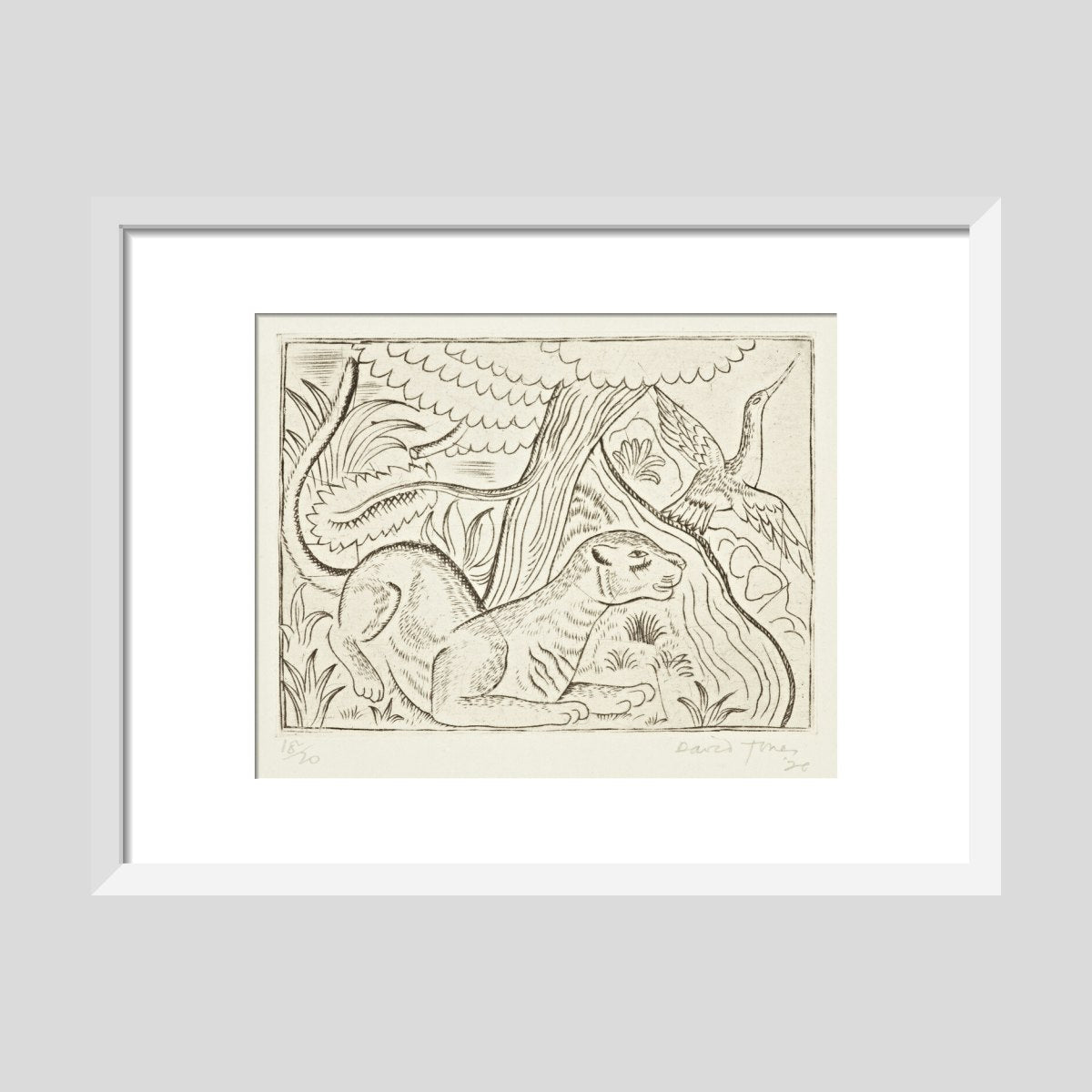 David Jones Puma Print