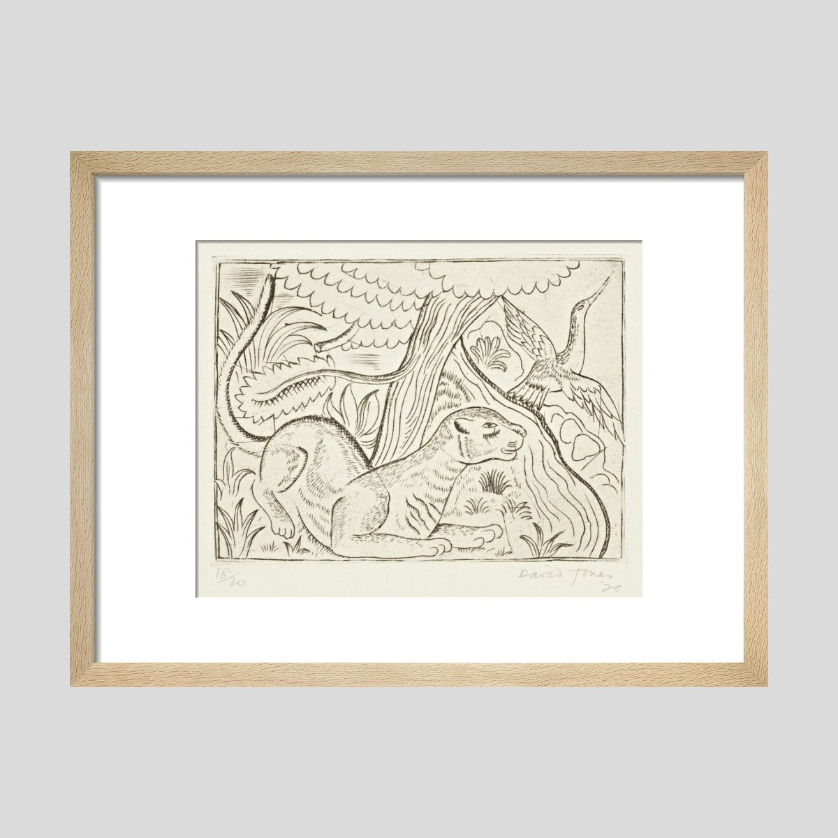 David Jones Puma Print