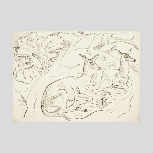 David Jones Resting Animals (four deer) Print