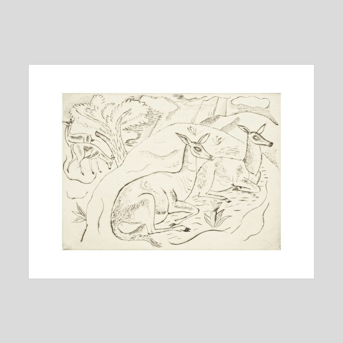 David Jones Resting Animals (four deer) Print