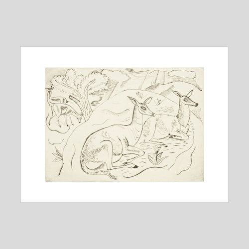 David Jones Resting Animals (four deer) Print