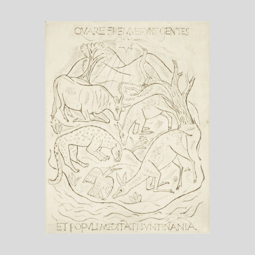 David Jones Kneeling Animals (ox, ass, leopard, deer and two birds) Print