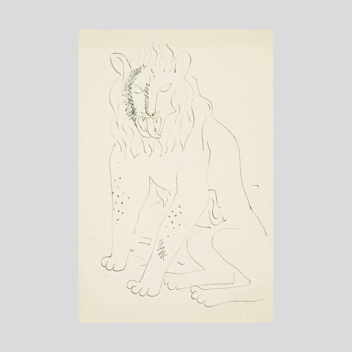 David Jones Lion Print