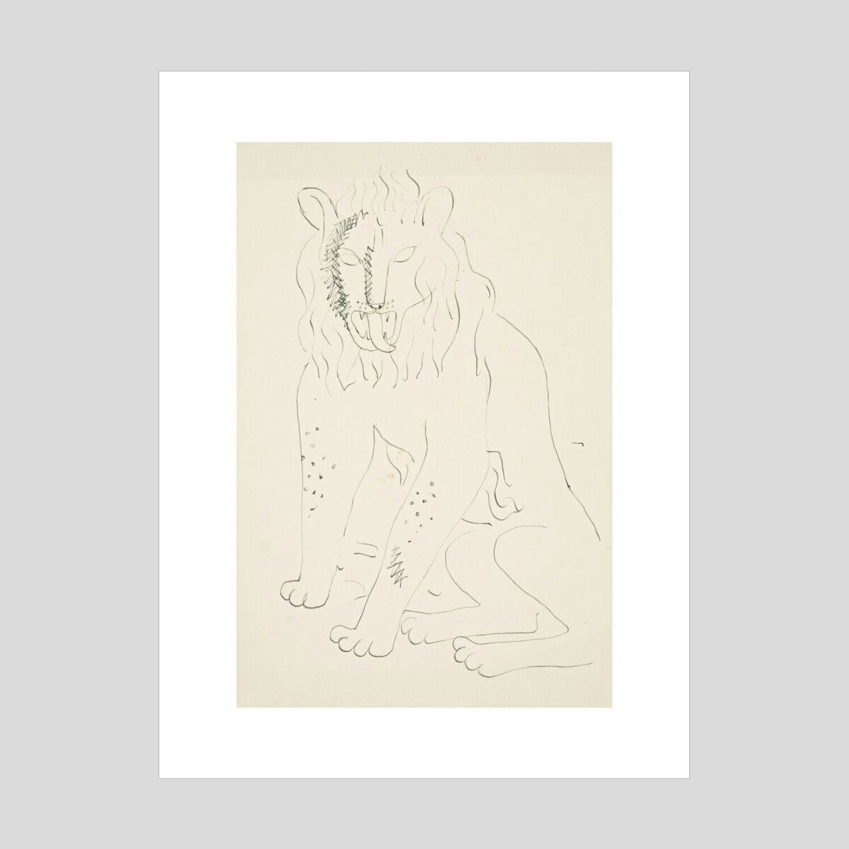 David Jones Lion Print