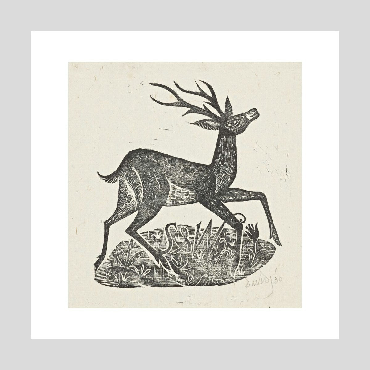 David Jones Stag Print