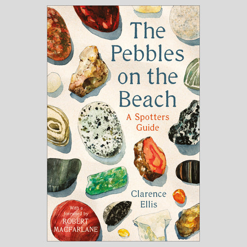 Bookspeed The Pebbles on the Beach: A Spotter's Guide 1