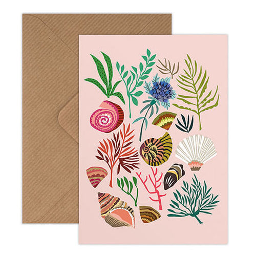 Brie Harrison Brie Harrison Shells & Seaweed Greetings Card 1