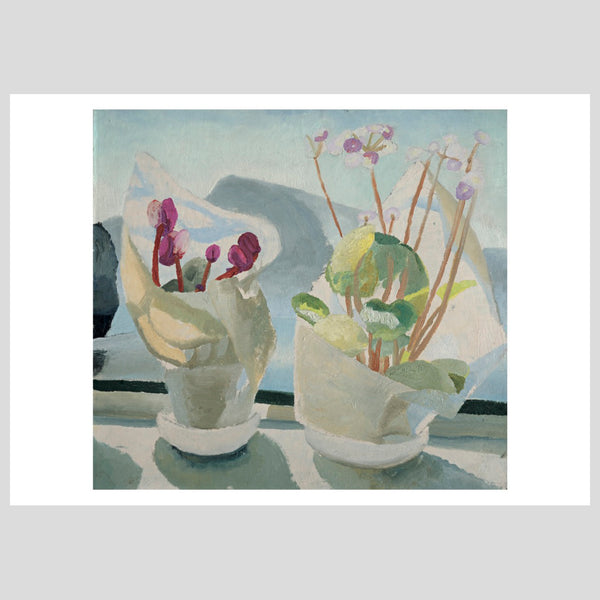 Postcard Winifred Nicholson Cyclamen and Primula Kettle's Yard