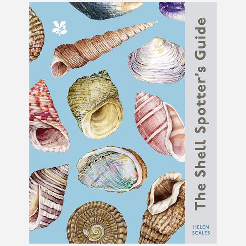 The Shell Spotter's Guide
