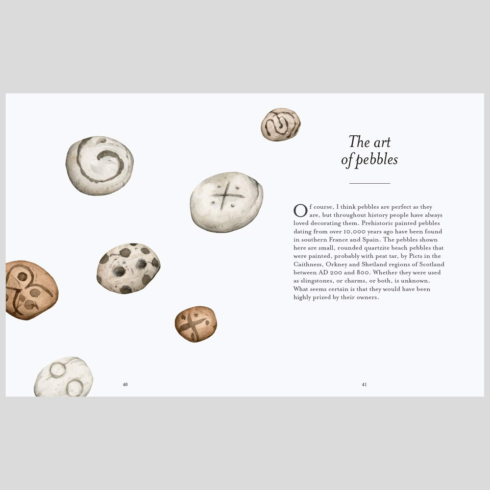 The Pebble Spotter's Guide (National Trust)